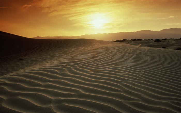 Wüste, Sonnenuntergang Hintergrundbilder Bilder