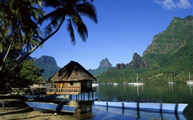 Resort, Haus, Palmen, Meer, Berge HD Hintergrundbilder