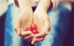 Kleine Tomate in den Händen
