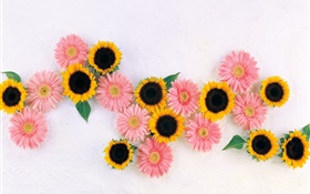 Gelbe Sonnenblumen, rosa Kamille HD Hintergrundbilder