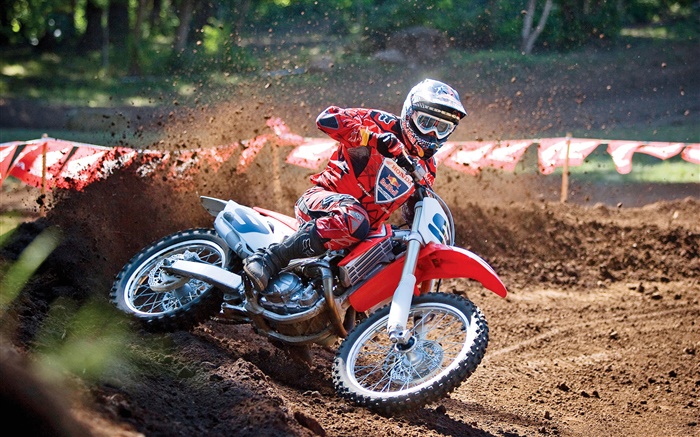 Honda Motorrad, Rennen, roter Kleid Reiter Hintergrundbilder Bilder