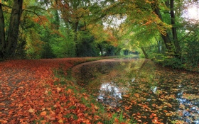 Herbst, Fluss, Bäume, Wald HD Hintergrundbilder