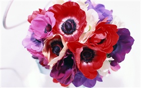 Verschiedene Farben Blumen, weiß, rosa, lila, rot HD Hintergrundbilder