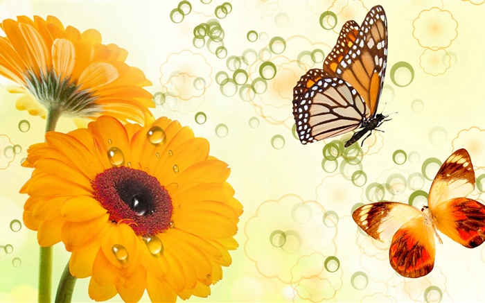 Gelbe Blumen und Schmetterlinge, kreatives Design Hintergrundbilder Bilder