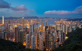 Hong Kong, Nacht, Wolkenkratzer, Lichter HD Hintergrundbilder
