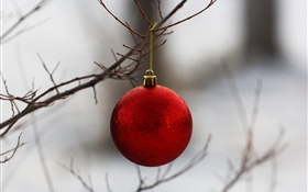 Roter Weihnachtsball, Zweige HD Hintergrundbilder