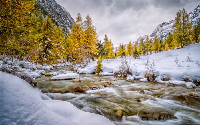Winter, Schnee, Bäume, Creek Hintergrundbilder Bilder