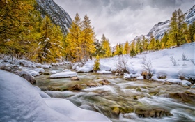Winter, Schnee, Bäume, Creek HD Hintergrundbilder