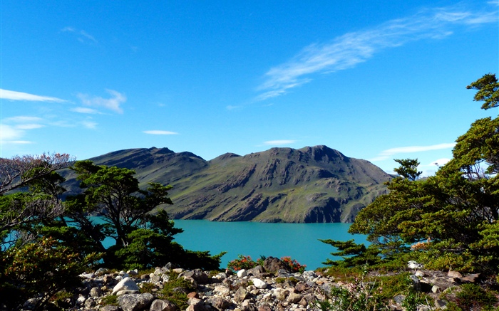 Argentinien, Patagonien, See, Berge, Bäume Hintergrundbilder Bilder
