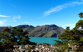 Argentinien, Patagonien, See, Berge, Bäume HD Hintergrundbilder