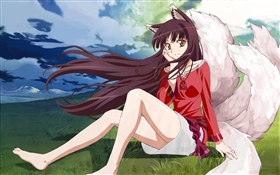 Anime Mädchen, Fuchs HD Hintergrundbilder