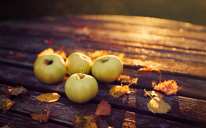 Äpfel, Sonnenschein Hintergrundbilder Bilder