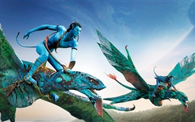 Avatar, fliegender Himmel HD Hintergrundbilder