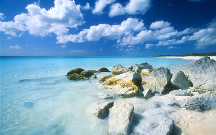 Bahamas, Strand, Meer, Steine Hintergrundbilder Bilder