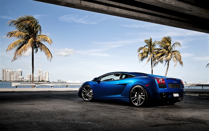 Blauer Lamborghini Supersportwagen, Palmen Hintergrundbilder Bilder