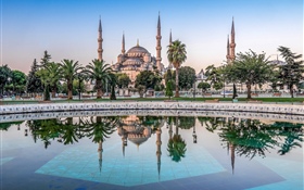 Istanbul, Türkei, Moschee, Bäume, Wasser HD Hintergrundbilder