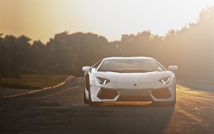 Lamborghini weiße Supersportwagenfront, Sonnenlicht Hintergrundbilder Bilder