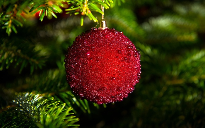 Roter Weihnachtsball Hintergrundbilder Bilder