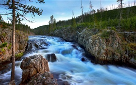 Fluss, Bäume, Felsen, Natur HD Hintergrundbilder