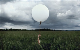 Weißer Ballon, Gras HD Hintergrundbilder