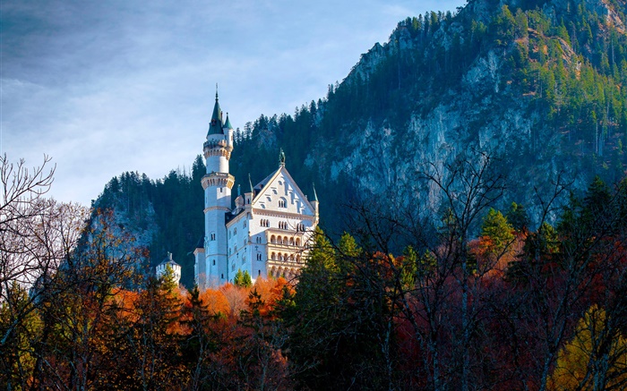 Deutschland, Bayern, Neuschwanstein Castle, Herbst Hintergrundbilder Bilder