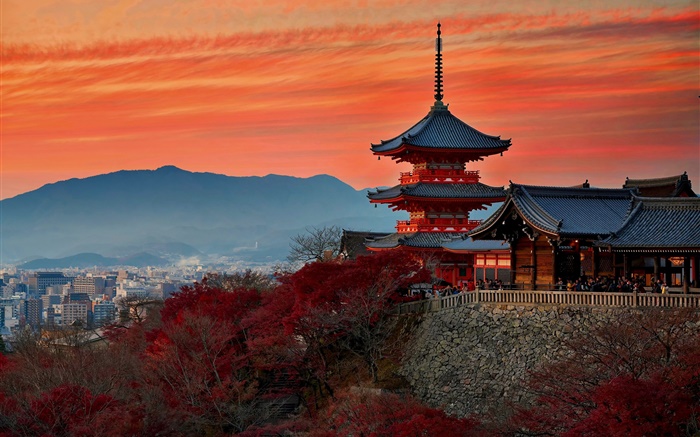 Japan, Kyoto, Tempel, Herbst, Abenddämmerung Hintergrundbilder Bilder