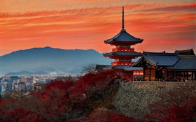 Japan, Kyoto, Tempel, Herbst, Abenddämmerung HD Hintergrundbilder