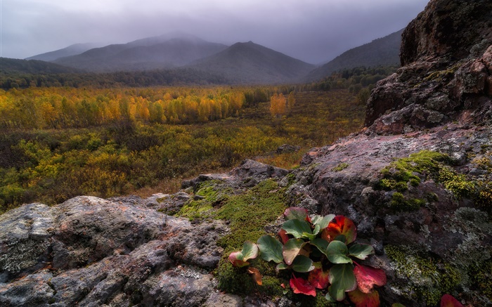 Berge, Nebel, Steine, Wald, Herbst Hintergrundbilder Bilder
