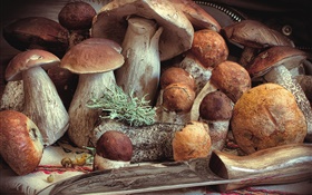Einige Pilze, Essen HD Hintergrundbilder