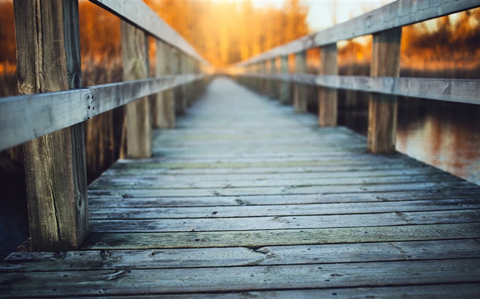 Holzbrücke, Zaun, dunstige Hintergrundbilder Bilder