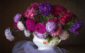 Asternblumen, lila, rosa, rot, Blumenstrauß HD Hintergrundbilder