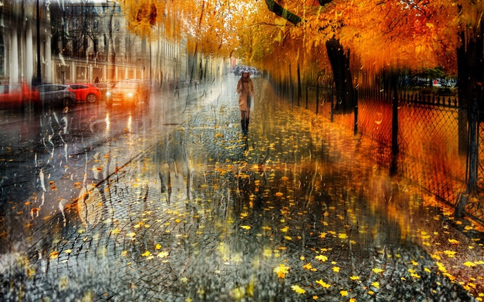 Herbst, Stadt, Regen, Bäume, Mädchen, Straße, Autos Hintergrundbilder Bilder